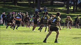 Silverbacks v Wharoonga U16s [upl. by Anide984]