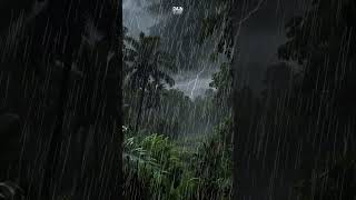 Peaceful Soundscape Rainforest Serenity [upl. by Kendricks]