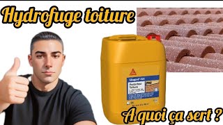 Passage dun hydrofuge sur toiture sika protection toiture [upl. by Ettolrahc]