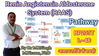 Role of Renin Angiotensin Aldosterone System  Human Anatomy PhysiologyII  BP201T [upl. by Elleinad]