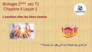 Biologie 2ème sec Chapitre 4 Leçon 1 Lexcrétion chez les etres vivants الاخراج ج1 [upl. by Eimac]