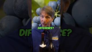 Syrah and Petite Sirah are NOT the Same Grape [upl. by Barb]