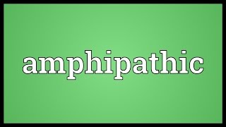 Amphipathic Meaning [upl. by Lyontine]