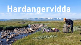 Hardangervidda  Multiday Trip on Europes Largest Mountain Plateau  4K [upl. by Atteuqaj]