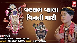 વલ્લભ વાલા વિનતી મારી  Vallabh Vala Vinti Mari  Shrinathji Bhajan Master Rana  Soor Mandir [upl. by Nylessej]