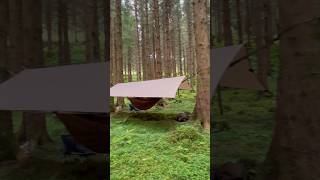 Hammock Camping In A Beautiful Forest With My Son camping hammock shorts [upl. by Isleana]