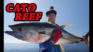 Cato Reef  Fishing Paradise [upl. by Humbert]