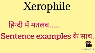 Xerophile meaning in Hindi  xerophile meaning with sentence examples [upl. by Raskind]