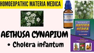 Aethusa CynapiumPart 3Cholera InfantumSK Dubey decodesHOMOEOPATHIC MATERIA MEDICA🪴🎋 [upl. by Arhas684]