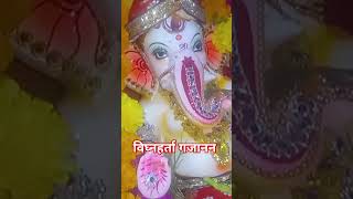 GanpatiBappaMoryaGaneshChaturthiGanpatiVisarjanGaneshFestivalGanpatiDecorationGaneshAarti [upl. by Notrem787]