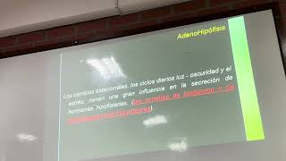 ENDOCRINOLOGIA adenohipofisis part2  hipopituitarismo 160824 [upl. by Ahsiekat]