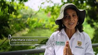 Cali Capital Mundial de la Biodiversidad el video que lanza el Dagma para la COP16 [upl. by Edan]