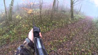 Chasse 2014 France Battues Sangliers Haute Marne Decembre 14 Driven Boar Hunting [upl. by Michelle]