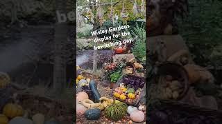 RHS Wisley Gardens Halloween display [upl. by Scrivings214]