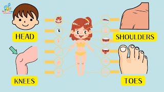 Body Parts Song for Kids  Head Shoulders Knees and Toes  Fun Learning Song [upl. by Idid]