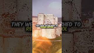 CRUSADER KINGDOMS ✝️ history shorts historyshorts medieval [upl. by Lavona532]