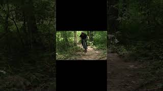 haibike ride mtb downhill ebike [upl. by Iglesias]