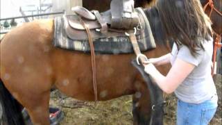 How to western saddle your horse [upl. by Denni]