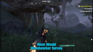 ESO West Weald Woodworker Survey Location The Elder Scrolls Online [upl. by Alin]