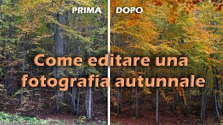 Editing di Foto Autunnali Come Dare Vita ai Colori dellAutunno [upl. by Benedikta230]