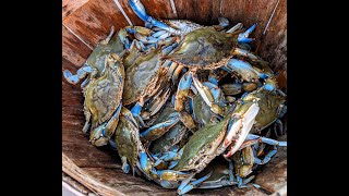 Crabbing at 6am Chesapeake Bay Maryland [upl. by Cozmo181]