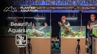 Aquascapes from The Art of The Planted Aquarium Contest [upl. by Sale]