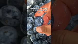 WASH YOUR BLUEBERRIES 👏🫐🐛 foodasmr healthyrecipes healthytips [upl. by Leisha580]