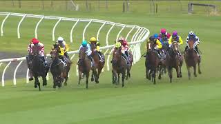 Quick Tempo wins at Kembla Grange [upl. by Annoyek426]