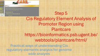 Step 5 Cis Regulatory element analysis of promoter region using plant care [upl. by Yesima]