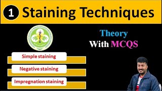 1 Staining Techniques JMLTPGIMER Simple negative and silver impregnation micro sachinpunia [upl. by Charmian278]