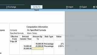 Payroll voucher Basic Salary TA DA HRA TDS PF calculation in Tally PrimeCOMPUTEREXCELSOLUTION [upl. by Ynaiffit]