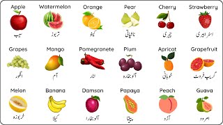 Fruits Name In English And Urdu  پھلوں کے نام  Phalon Ke Naam [upl. by Llerruj589]