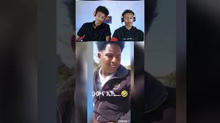 ጋውና ኢኺ🤣😂🤣 FYP reaction reactionvideos Hatseyreacts tigray tigrignamusic tigrigna [upl. by Olegna]