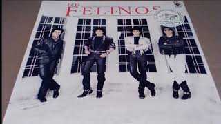 Los Felinos  Morena audio HQ HD [upl. by Ayotahs]