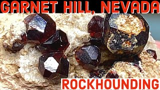 Rockhounding Garnet Hill Outside of Ely Nevada and Exploring Great Basin National Park [upl. by Pammi910]