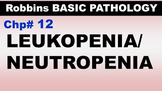 Ch12  Leukopenia  Neutropenia  Agranulocytosis  Blood Pathology  Dr Asif Lectures [upl. by Hnaht]