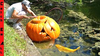 GIANT PUMPKIN FISH TRAP Finally Catching cursed Fish in Halloween [upl. by Bast]