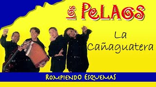 La Cañaguatera  Los Pelaos  Vallenato [upl. by Fanestil]