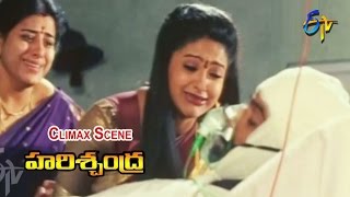 Harischandra Telugu Movie  Climax Scene  Raasi  JD Chakravarthy  ETV Cinema [upl. by Suilenrac]