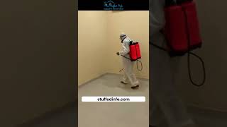 How To Clean a Vacant Apartment of Pests [upl. by Leicester]