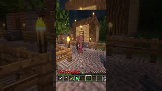 When Villager Pranks go Too Far minecraft funny [upl. by Jemimah311]