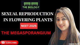 Megasporangium I Sexual Reproduction in Flowering Plants Class 12 Biology I cbseboard neet 2025 [upl. by Aronoh257]