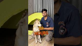 Living In A Camping Tent With A Street Dog For 24 Hours [upl. by Windsor312]