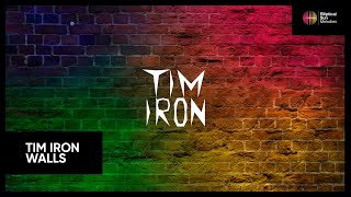 Tim Iron  Walls Elliptical Sun Melodies [upl. by Tiphane]