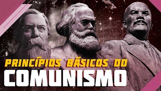 Comunismo princípios básicos e guia de leitura [upl. by Nerat]