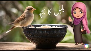 Bulbul Ka Bacha Urdu Poem  بلبل کا بچہ  Urdu Nursery Rhyme for Babies [upl. by Aneles]