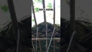 Thatch Roofing process [upl. by Riordan]