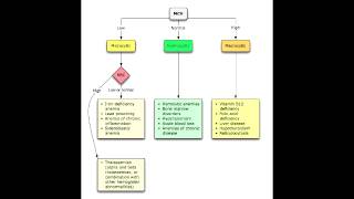 Anemias  Microcytic Normocytic amp Macrocytic Overview [upl. by Arie794]