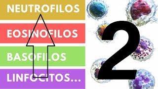 LEUCOCITOS » ¿Qué son Funciones Valores adecuados Parte 2 [upl. by Kadner]