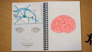 The Learning Brain [upl. by Knute]